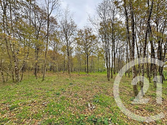 maison à vendre - 9 pièces - 607.0 m2 - PRUNIERS EN SOLOGNE - 41 - CENTRE - Century 21 Sologne Immobilier