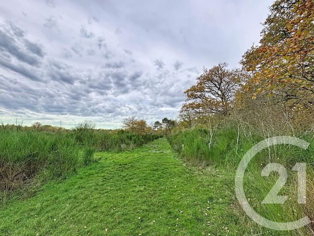 maison à vendre - 9 pièces - 607.0 m2 - PRUNIERS EN SOLOGNE - 41 - CENTRE - Century 21 Sologne Immobilier