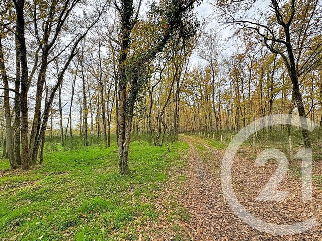 maison à vendre - 9 pièces - 607.0 m2 - PRUNIERS EN SOLOGNE - 41 - CENTRE - Century 21 Sologne Immobilier