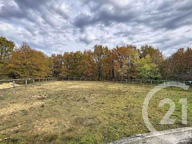 maison à vendre - 9 pièces - 607.0 m2 - PRUNIERS EN SOLOGNE - 41 - CENTRE - Century 21 Sologne Immobilier