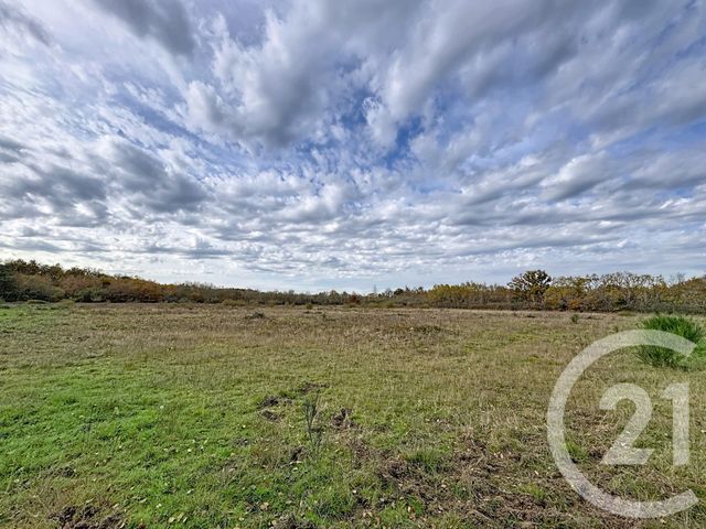 maison à vendre - 9 pièces - 607.0 m2 - PRUNIERS EN SOLOGNE - 41 - CENTRE - Century 21 Sologne Immobilier