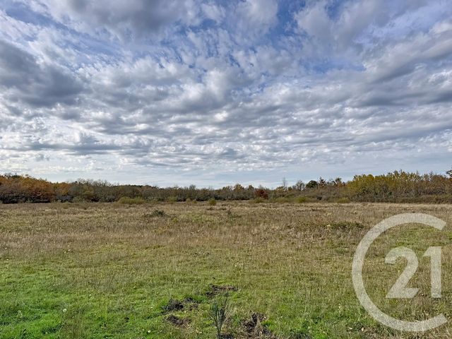 maison à vendre - 9 pièces - 607.0 m2 - PRUNIERS EN SOLOGNE - 41 - CENTRE - Century 21 Sologne Immobilier