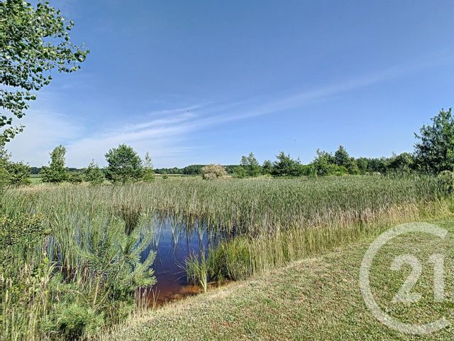 Afficher la photo en grand maison à vendre - 6 pièces - 200.87 m2 - BILLY - 41 - CENTRE - Century 21 Sologne Immobilier