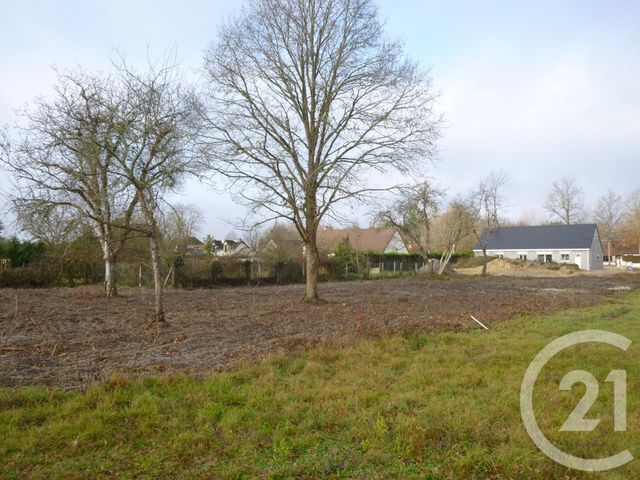 Afficher la photo en grand terrain à vendre - 1300.0 m2 - PRUNIERS EN SOLOGNE - 41 - CENTRE - Century 21 Sologne Immobilier