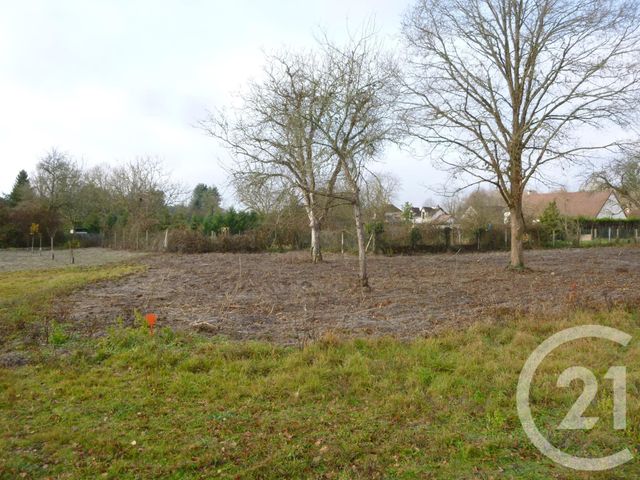 Afficher la photo en grand terrain à vendre - 1300.0 m2 - PRUNIERS EN SOLOGNE - 41 - CENTRE - Century 21 Sologne Immobilier