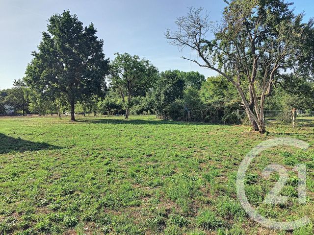 Afficher la photo en grand terrain à vendre - 1300.0 m2 - PRUNIERS EN SOLOGNE - 41 - CENTRE - Century 21 Sologne Immobilier