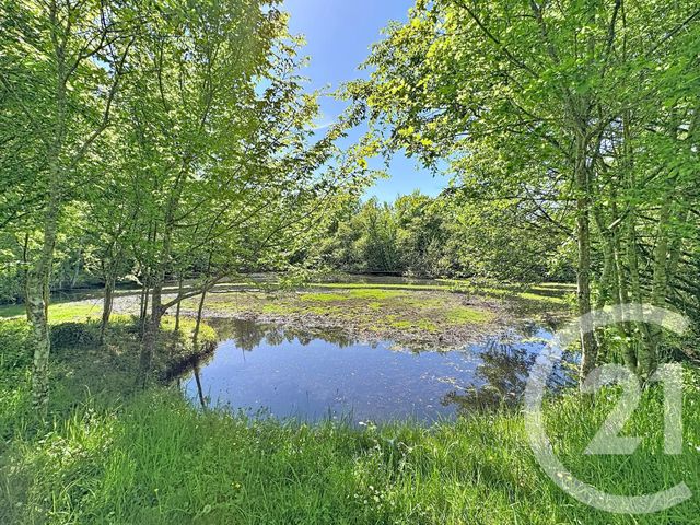 maison à vendre - 9 pièces - 306.79 m2 - PRUNIERS EN SOLOGNE - 41 - CENTRE - Century 21 Sologne Immobilier