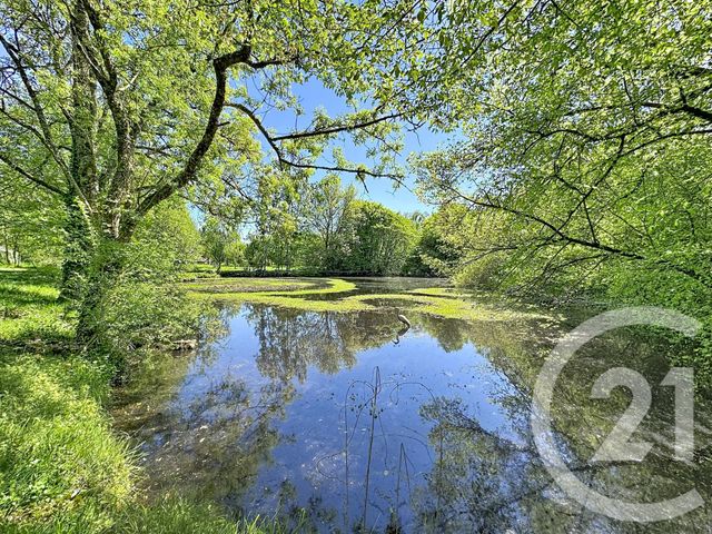 maison à vendre - 9 pièces - 306.79 m2 - PRUNIERS EN SOLOGNE - 41 - CENTRE - Century 21 Sologne Immobilier