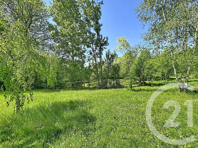 maison à vendre - 9 pièces - 306.79 m2 - PRUNIERS EN SOLOGNE - 41 - CENTRE - Century 21 Sologne Immobilier