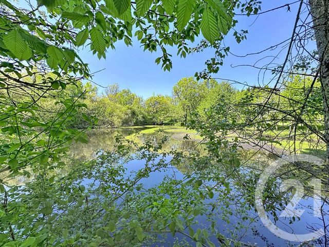 maison à vendre - 9 pièces - 306.79 m2 - PRUNIERS EN SOLOGNE - 41 - CENTRE - Century 21 Sologne Immobilier