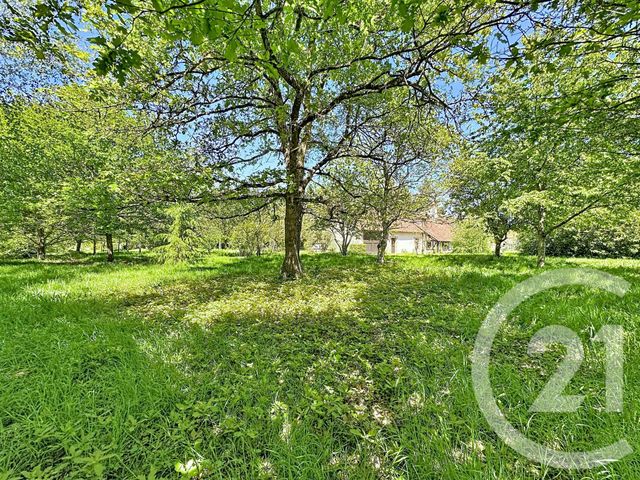 maison à vendre - 9 pièces - 306.79 m2 - PRUNIERS EN SOLOGNE - 41 - CENTRE - Century 21 Sologne Immobilier