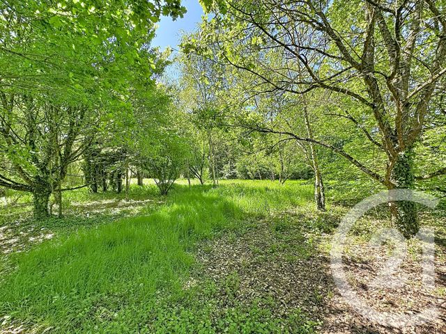 maison à vendre - 9 pièces - 306.79 m2 - PRUNIERS EN SOLOGNE - 41 - CENTRE - Century 21 Sologne Immobilier