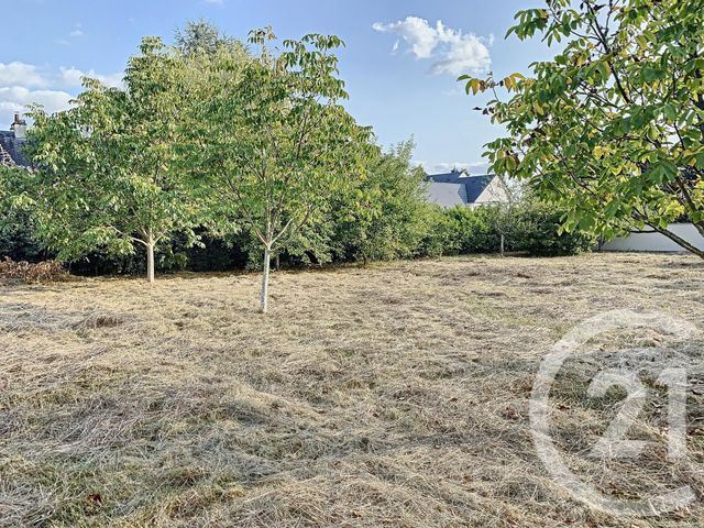 Afficher la photo en grand terrain à vendre - 923.0 m2 - ROMORANTIN LANTHENAY - 41 - CENTRE - Century 21 Sologne Immobilier