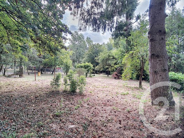 maison à vendre - 2 pièces - 30.82 m2 - PRUNIERS EN SOLOGNE - 41 - CENTRE - Century 21 Sologne Immobilier maison à vendre - 2 pièces - 30.82 m2 - PRUNIERS EN SOLOGNE - 41 - CENTRE - Century 21 Sologne Immobilier