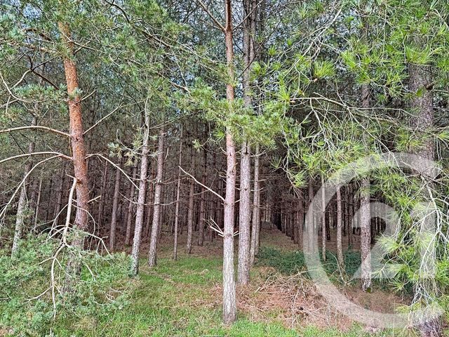 maison à vendre - 12 pièces - 420.0 m2 - GIEVRES - 41 - CENTRE - Century 21 Sologne Immobilier