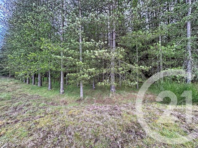 maison à vendre - 12 pièces - 420.0 m2 - GIEVRES - 41 - CENTRE - Century 21 Sologne Immobilier