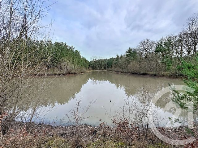 maison à vendre - 12 pièces - 420.0 m2 - GIEVRES - 41 - CENTRE - Century 21 Sologne Immobilier