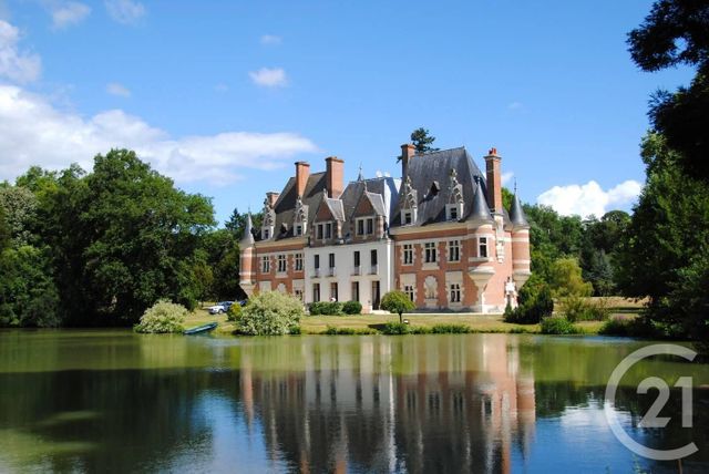 maison à vendre - 15 pièces - 600.0 m2 - ROMORANTIN LANTHENAY - 41 - CENTRE - Century 21 Sologne Immobilier