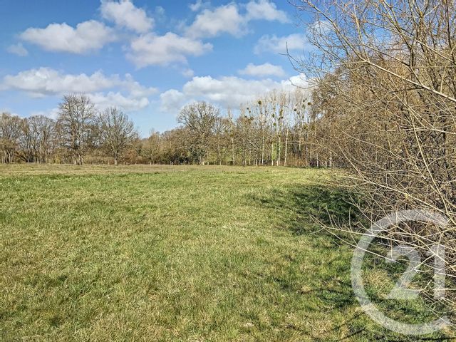 Afficher la photo en grand terrain à vendre - 20901.0 m2 - LA CHAPELLE MONTMARTIN - 41 - CENTRE - Century 21 Sologne Immobilier