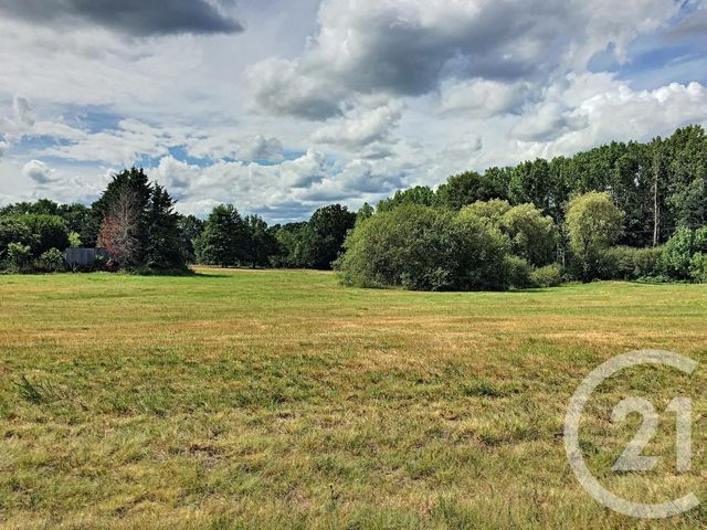 Afficher la photo en grand terrain à vendre - 20901.0 m2 - LA CHAPELLE MONTMARTIN - 41 - CENTRE - Century 21 Sologne Immobilier