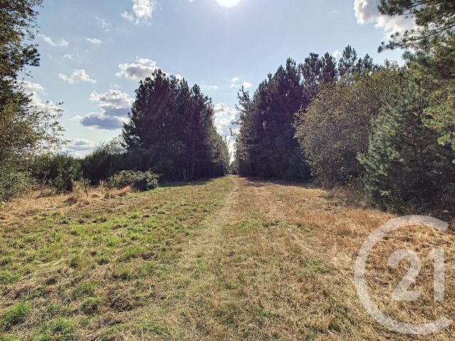 Afficher la photo en grand maison à vendre - 21 pièces - 625.0 m2 - MUR DE SOLOGNE - 41 - CENTRE - Century 21 Sologne Immobilier