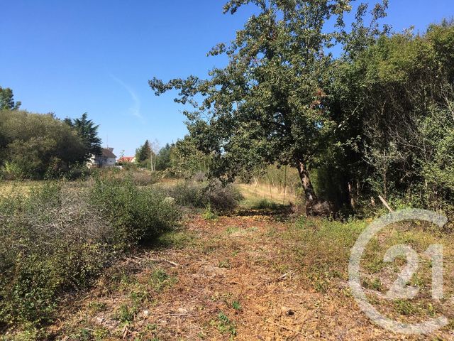 Afficher la photo en grand terrain à vendre - 4735.0 m2 - ROMORANTIN LANTHENAY - 41 - CENTRE - Century 21 Sologne Immobilier
