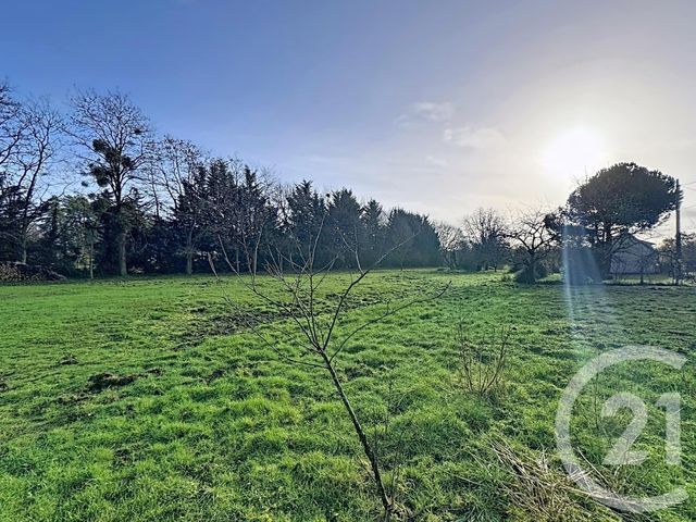 maison à vendre - 4 pièces - 78.73 m2 - PRUNIERS EN SOLOGNE - 41 - CENTRE - Century 21 Sologne Immobilier