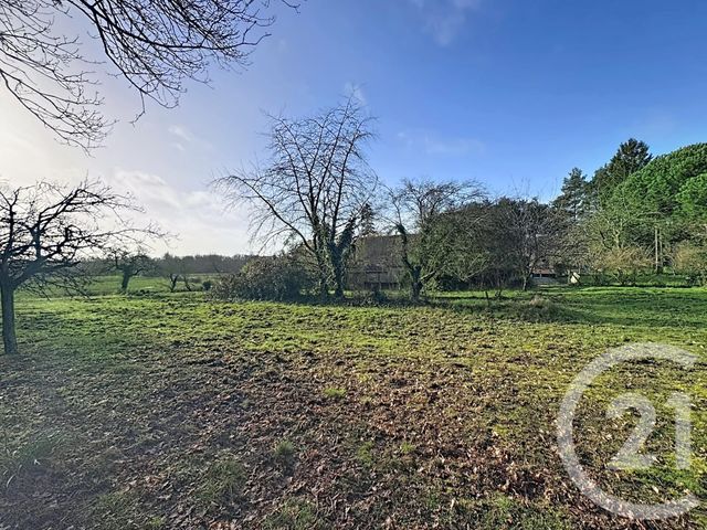 maison à vendre - 4 pièces - 78.73 m2 - PRUNIERS EN SOLOGNE - 41 - CENTRE - Century 21 Sologne Immobilier