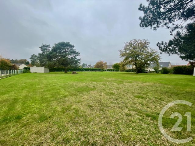 terrain - PRUNIERS EN SOLOGNE - 41