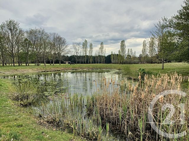 Afficher la photo en grand maison à vendre - 5 pièces - 212.98 m2 - LA MAROLLE EN SOLOGNE - 41 - CENTRE - Century 21 Sologne Immobilier