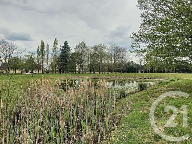 Afficher la photo en grand maison à vendre - 5 pièces - 212.98 m2 - LA MAROLLE EN SOLOGNE - 41 - CENTRE - Century 21 Sologne Immobilier