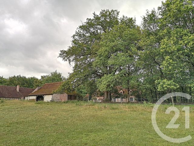 Afficher la photo en grand maison à vendre - 7 pièces - 194.0 m2 - ST VIATRE - 41 - CENTRE - Century 21 Sologne Immobilier
