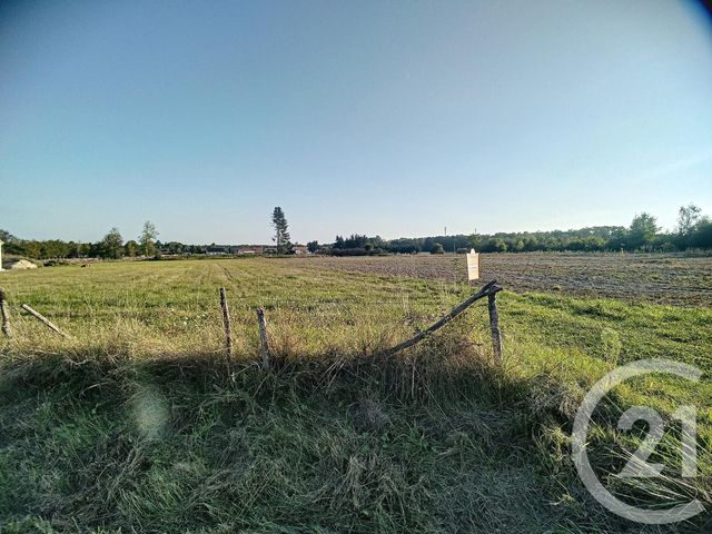 terrain - MILLANCAY - 41