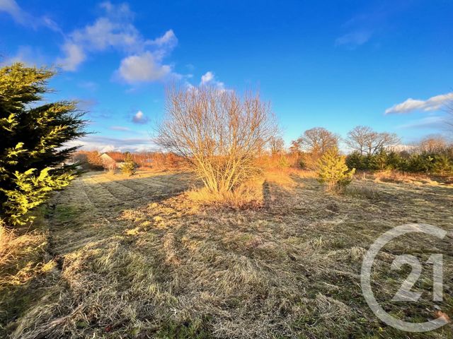 terrain - ROMORANTIN LANTHENAY - 41