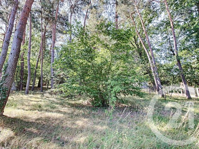 maison à vendre - 7 pièces - 154.22 m2 - ROMORANTIN LANTHENAY - 41 - CENTRE - Century 21 Sologne Immobilier