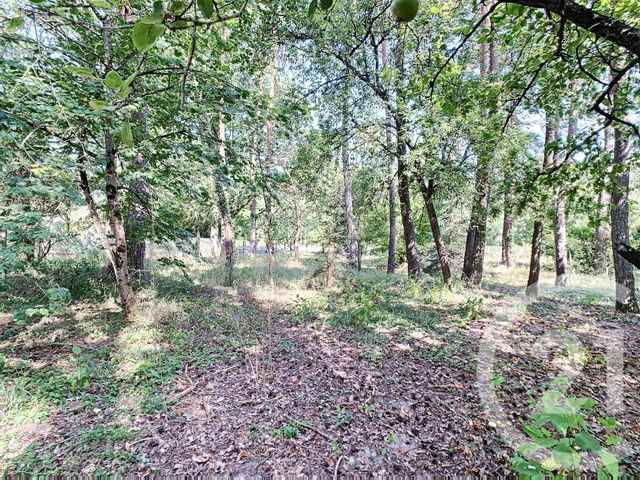 maison à vendre - 7 pièces - 154.22 m2 - ROMORANTIN LANTHENAY - 41 - CENTRE - Century 21 Sologne Immobilier