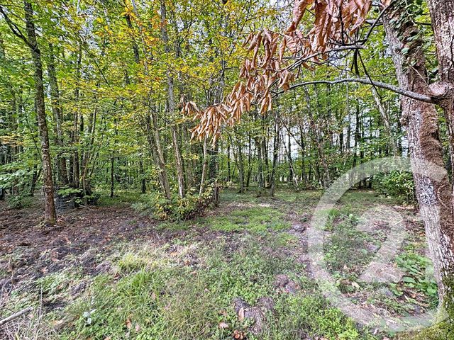 maison à vendre - 6 pièces - 150.94 m2 - PRUNIERS EN SOLOGNE - 41 - CENTRE - Century 21 Sologne Immobilier