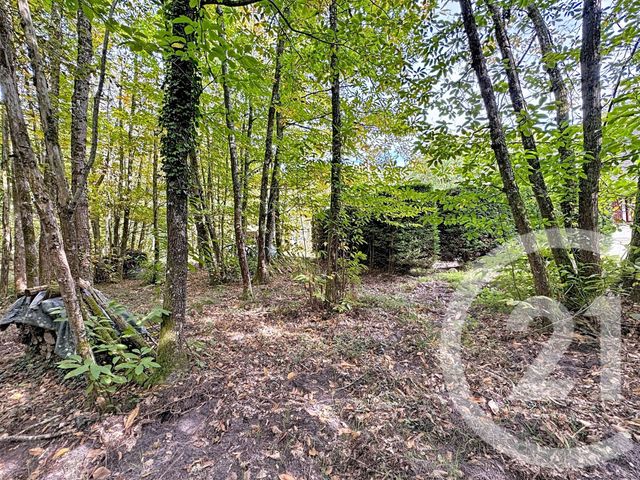 maison à vendre - 6 pièces - 150.94 m2 - PRUNIERS EN SOLOGNE - 41 - CENTRE - Century 21 Sologne Immobilier