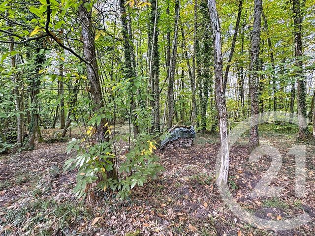 maison à vendre - 6 pièces - 150.94 m2 - PRUNIERS EN SOLOGNE - 41 - CENTRE - Century 21 Sologne Immobilier