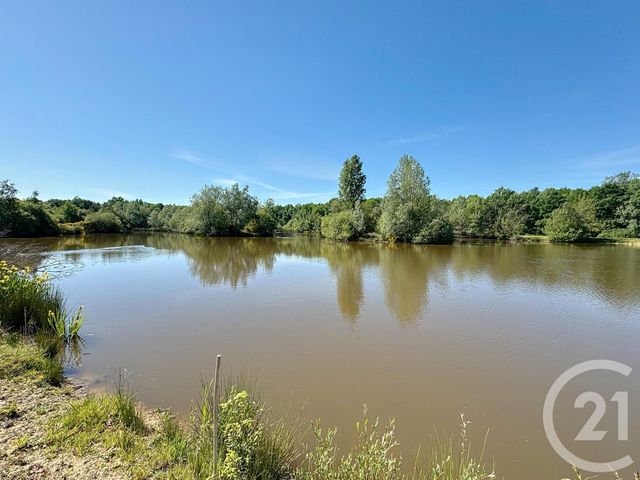 maison à vendre - 6 pièces - 231.2 m2 - LA FERTE ST CYR - 41 - CENTRE - Century 21 Sologne Immobilier