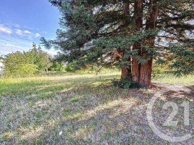 terrain à vendre - 1763.0 m2 - CHABRIS - 36 - CENTRE - Century 21 Sologne Immobilier