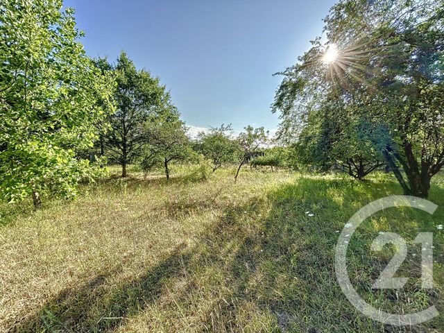 terrain à vendre - 1763.0 m2 - CHABRIS - 36 - CENTRE - Century 21 Sologne Immobilier