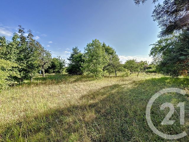 terrain à vendre - 1763.0 m2 - CHABRIS - 36 - CENTRE - Century 21 Sologne Immobilier