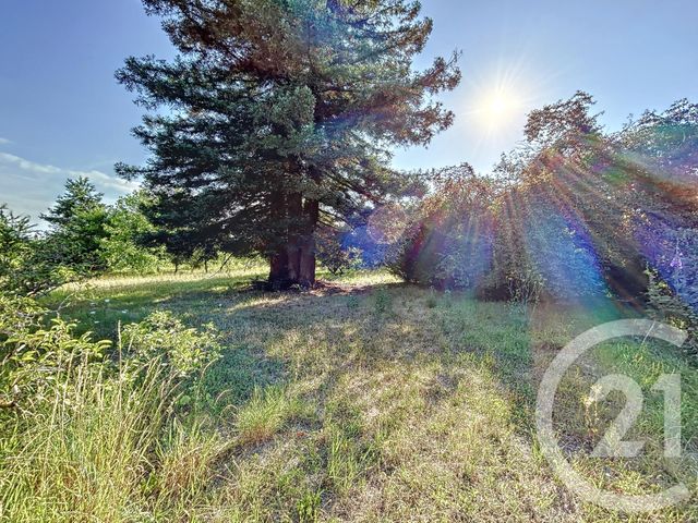 terrain à vendre - 1763.0 m2 - CHABRIS - 36 - CENTRE - Century 21 Sologne Immobilier