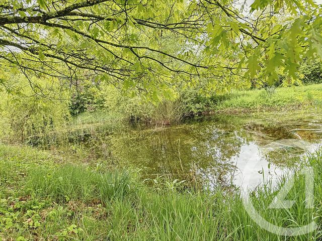 maison à vendre - 7 pièces - 159.22 m2 - ROMORANTIN LANTHENAY - 41 - CENTRE - Century 21 Sologne Immobilier