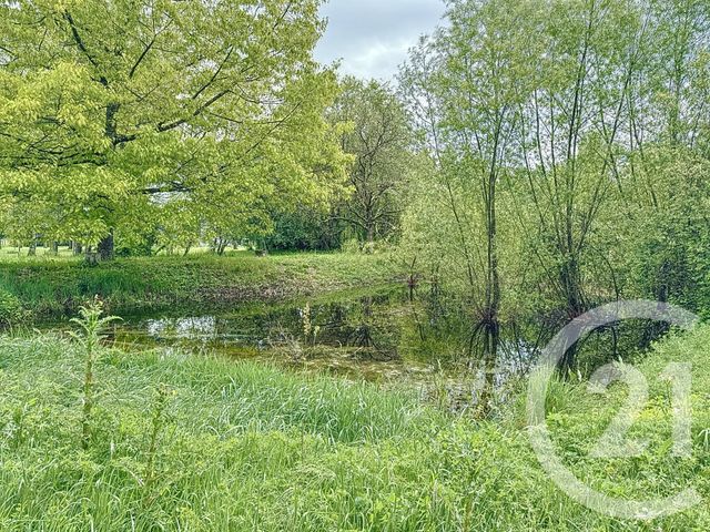 maison à vendre - 7 pièces - 159.22 m2 - ROMORANTIN LANTHENAY - 41 - CENTRE - Century 21 Sologne Immobilier