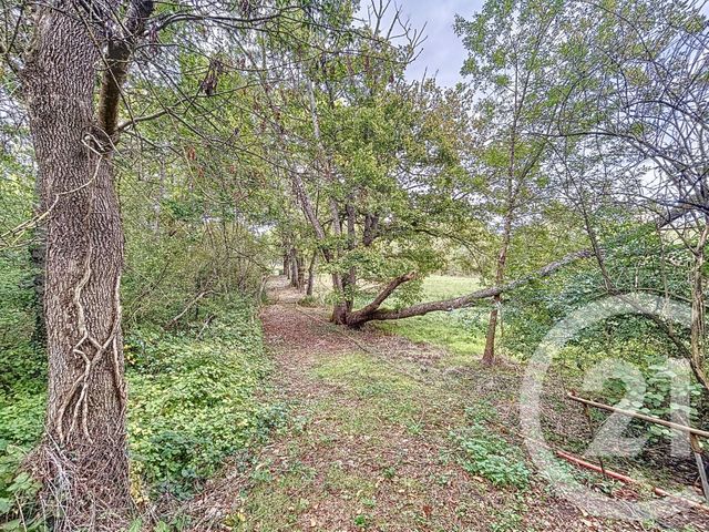 maison à vendre - 4 pièces - 138.53 m2 - ROMORANTIN LANTHENAY - 41 - CENTRE - Century 21 Sologne Immobilier