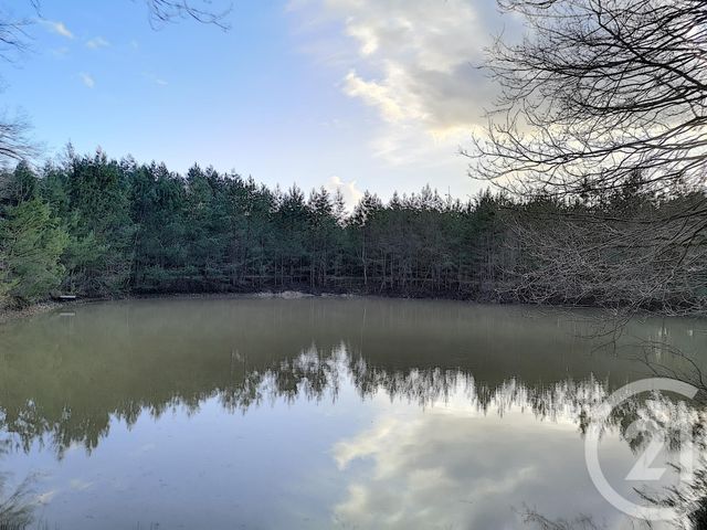 terrain à vendre - 108852.0 m2 - VILLEFRANCHE SUR CHER - 41 - CENTRE - Century 21 Sologne Immobilier