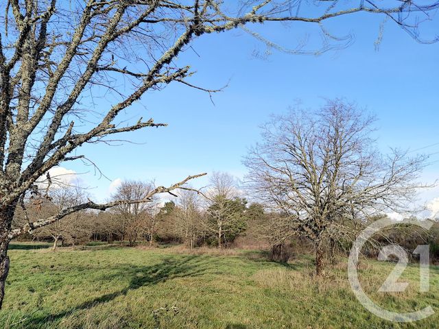 terrain à vendre - 108852.0 m2 - VILLEFRANCHE SUR CHER - 41 - CENTRE - Century 21 Sologne Immobilier