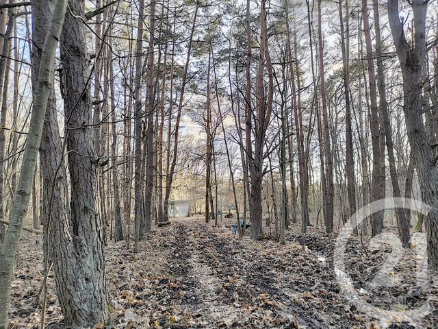 terrain à vendre - 108852.0 m2 - VILLEFRANCHE SUR CHER - 41 - CENTRE - Century 21 Sologne Immobilier